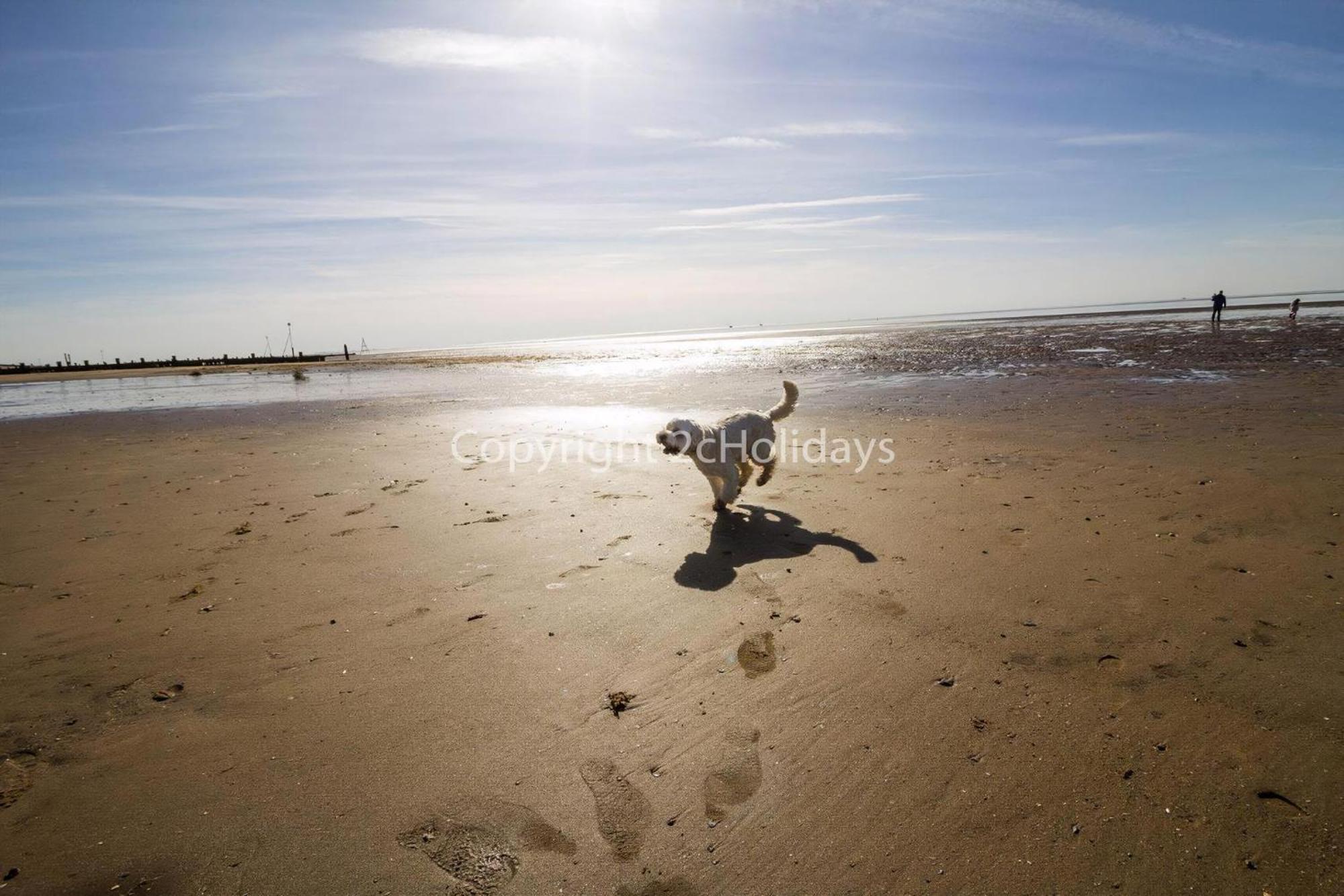 4 Berth Nearby In Norfolk Ref 13018l * Hunstanton